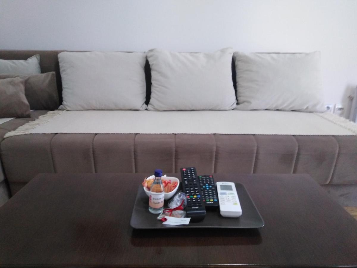 Apartment Laca Vrnjačka Banja Екстериор снимка