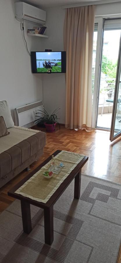 Apartment Laca Vrnjačka Banja Екстериор снимка